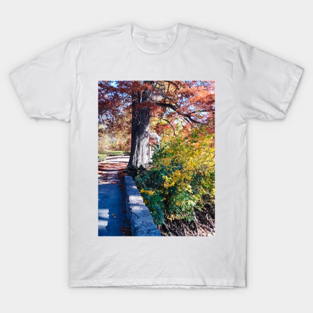 HIDDEN TEMPLE Red Tree Autumn Stone Bridge Leaves orange and green nature pretty delicate foliage T-Shirt by sandpaperdaisy